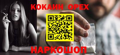 крисы Пенза