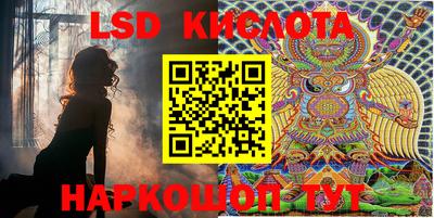 крисы Пенза