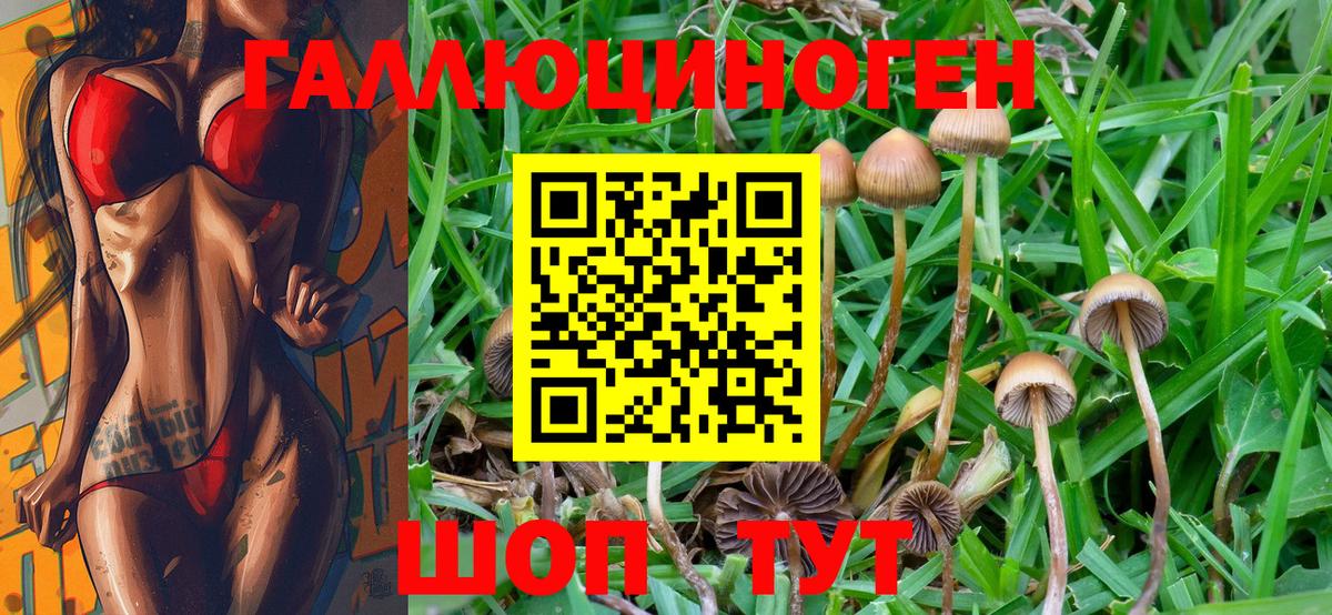 Галлюциногенные грибы MAGIC MUSHROOMS  Псилоцибиновые грибы ЛСД  Вход с VPN  Тверь 
